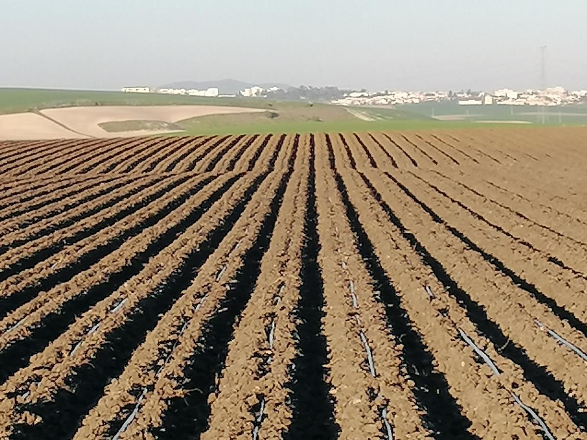 אל פוארטו דה סנטה מריה Cortijo Las Manoteras מראה חיצוני תמונה